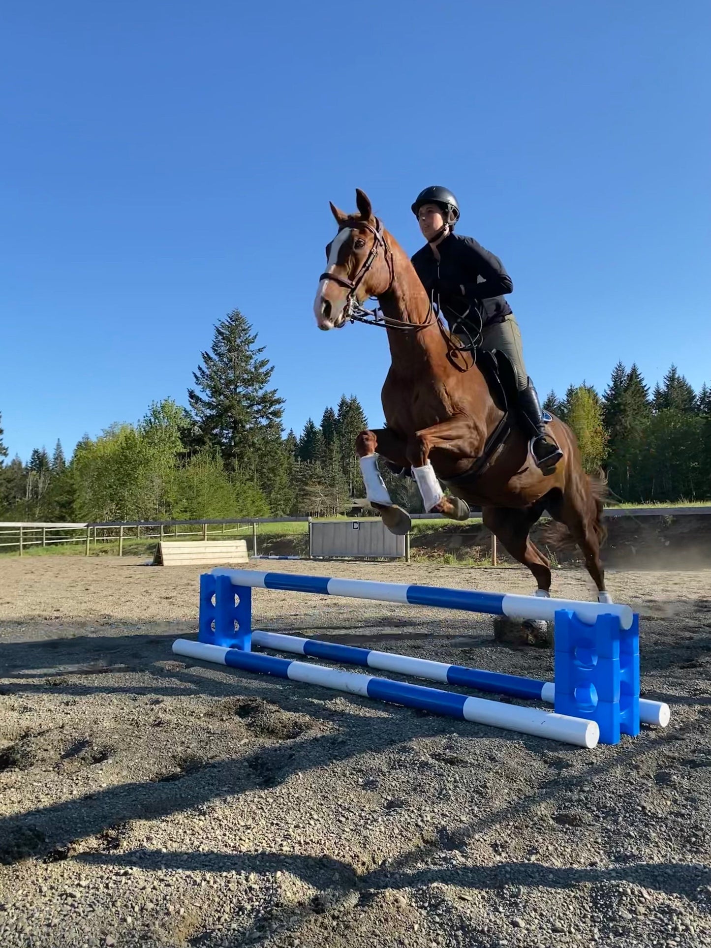 Classic Show Jumps Jump Blocks Stackaletti - Set of 6