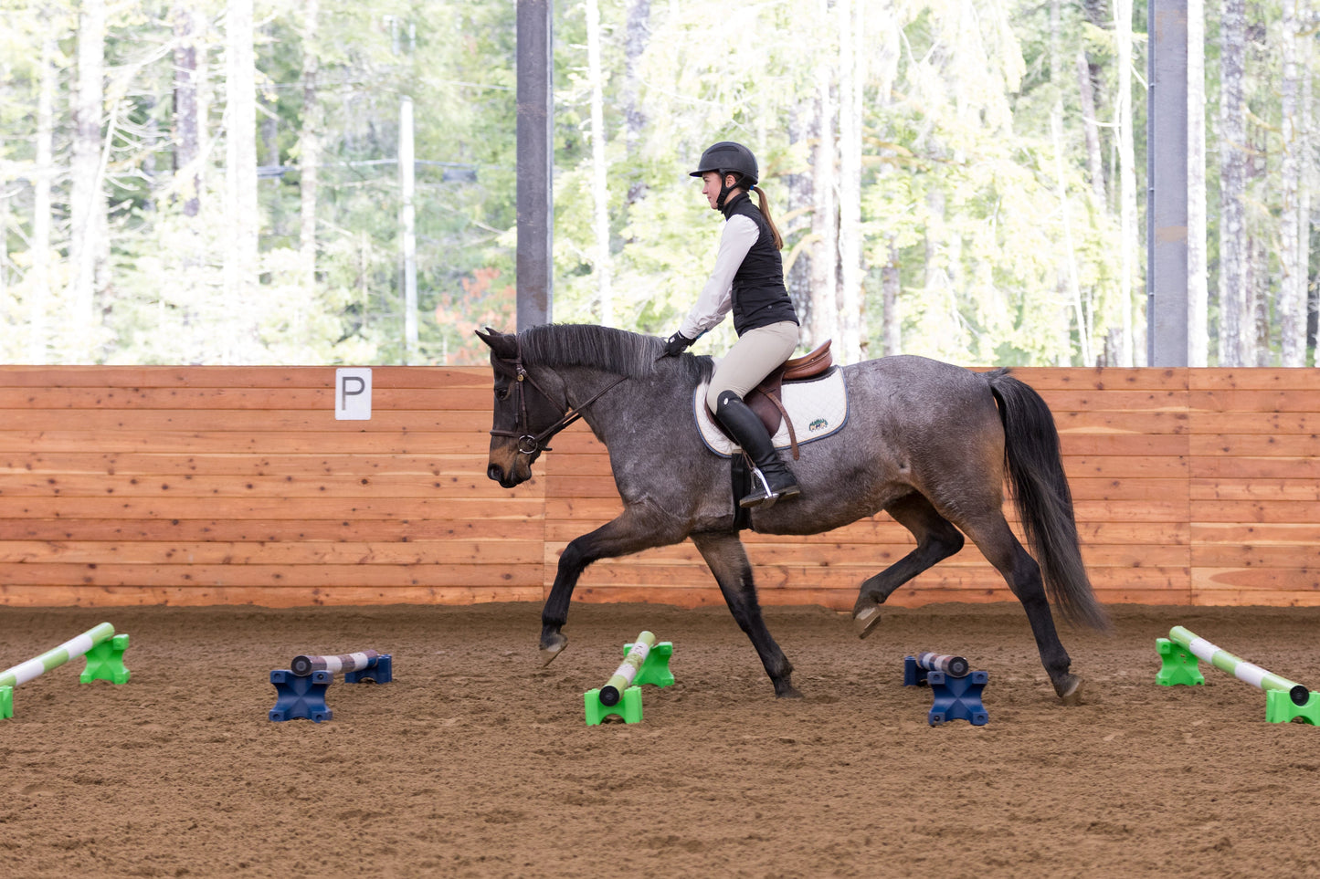Classic Show Jumps Jump Blocks Stackaletti - Set of 6