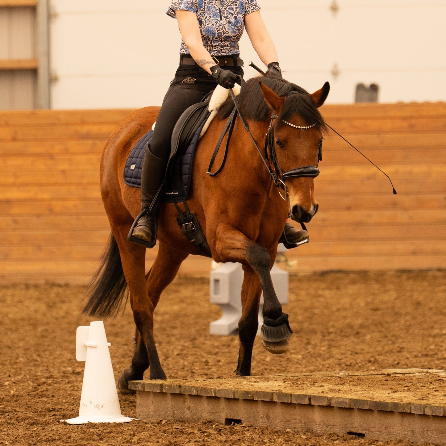 Copper Pony Poles Arena Accessories White Training Cone Pair - 18" (White)
