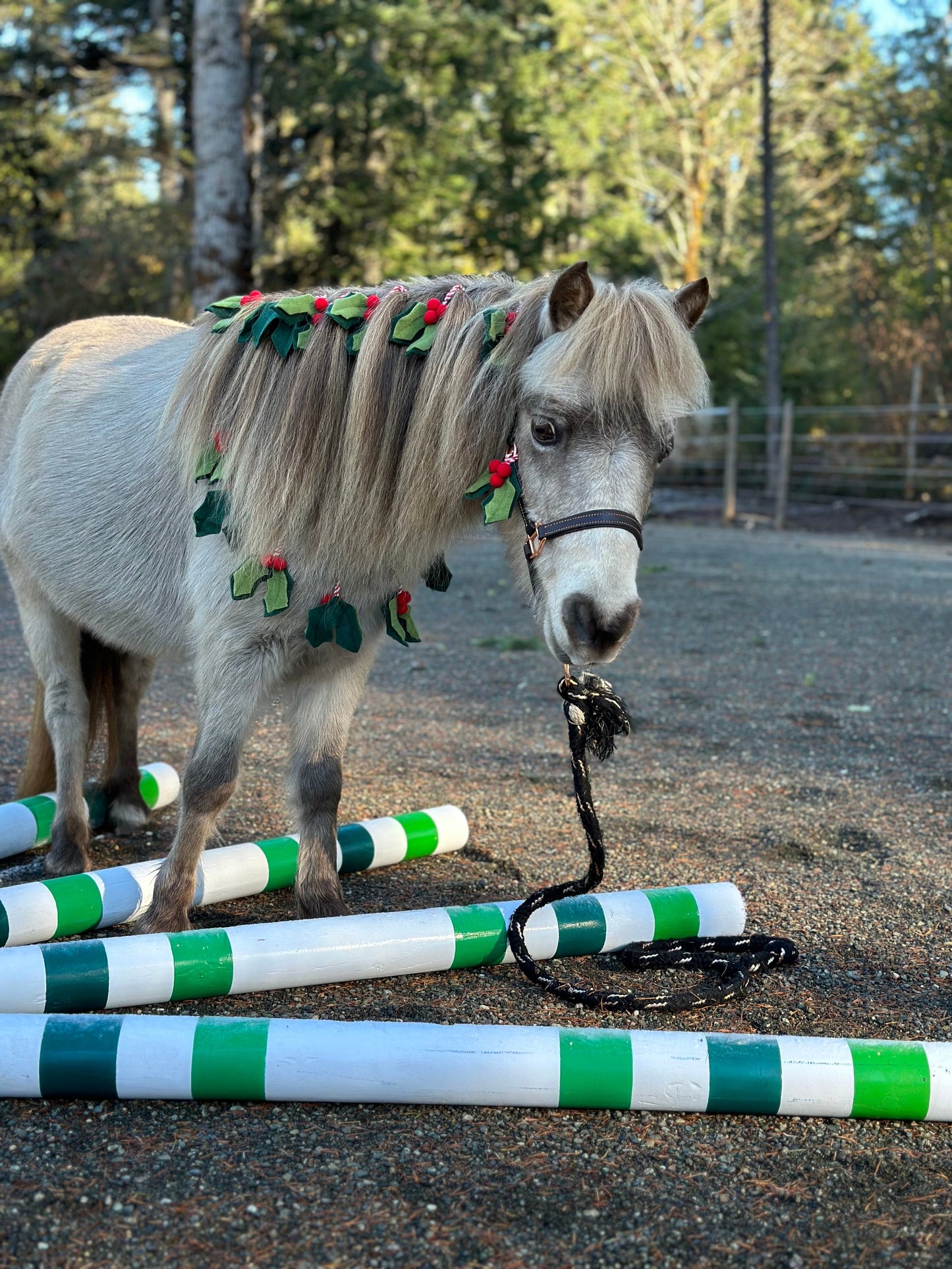 Copper Pony Poles Bundle Polework Kit (4' Wood Poles)