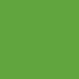 Copper Pony Poles Jump Poles Light Green Poles - 8' ft wood (Set of 2)