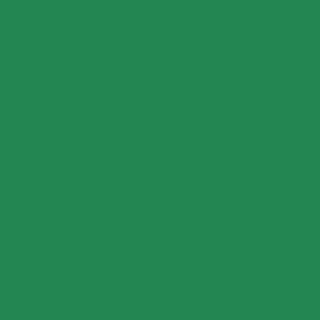 Copper Pony Poles Jump Poles Mid Green Poles - 8' ft wood (Set of 2)