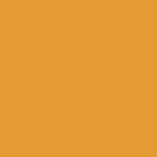 Copper Pony Poles Jump Poles Yellow Poles - 8' ft wood (Set of 2)