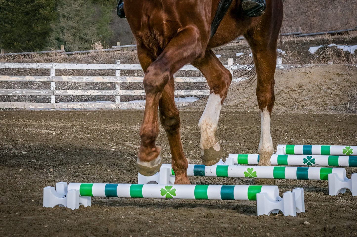 Copper Pony Poles Poles - 4' ft wood (set of 6)
