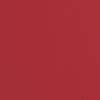 Jump 4 Joy Jump Standards Dark Red Jump standards - 5.75' High Set