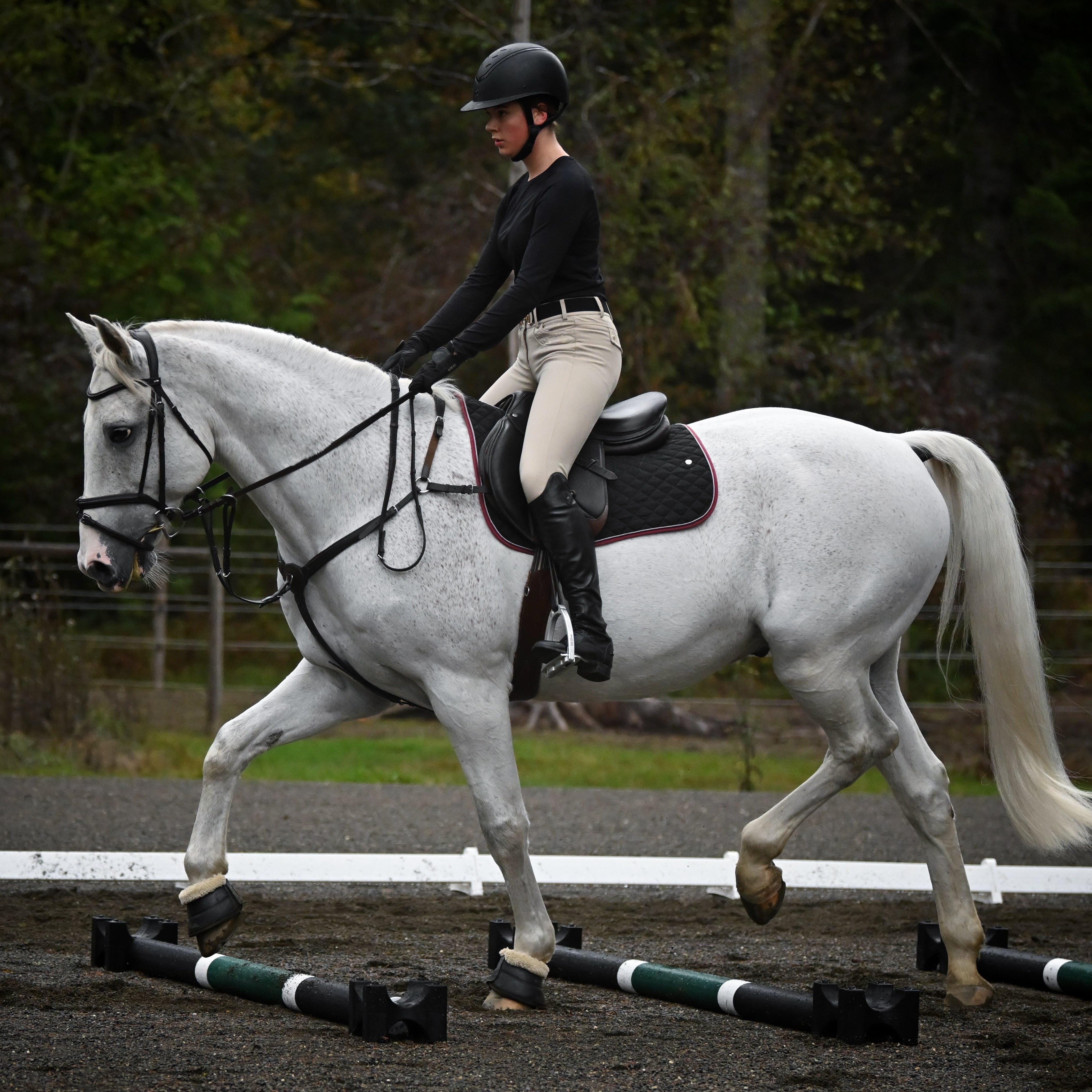Pole work – Copper Pony Poles