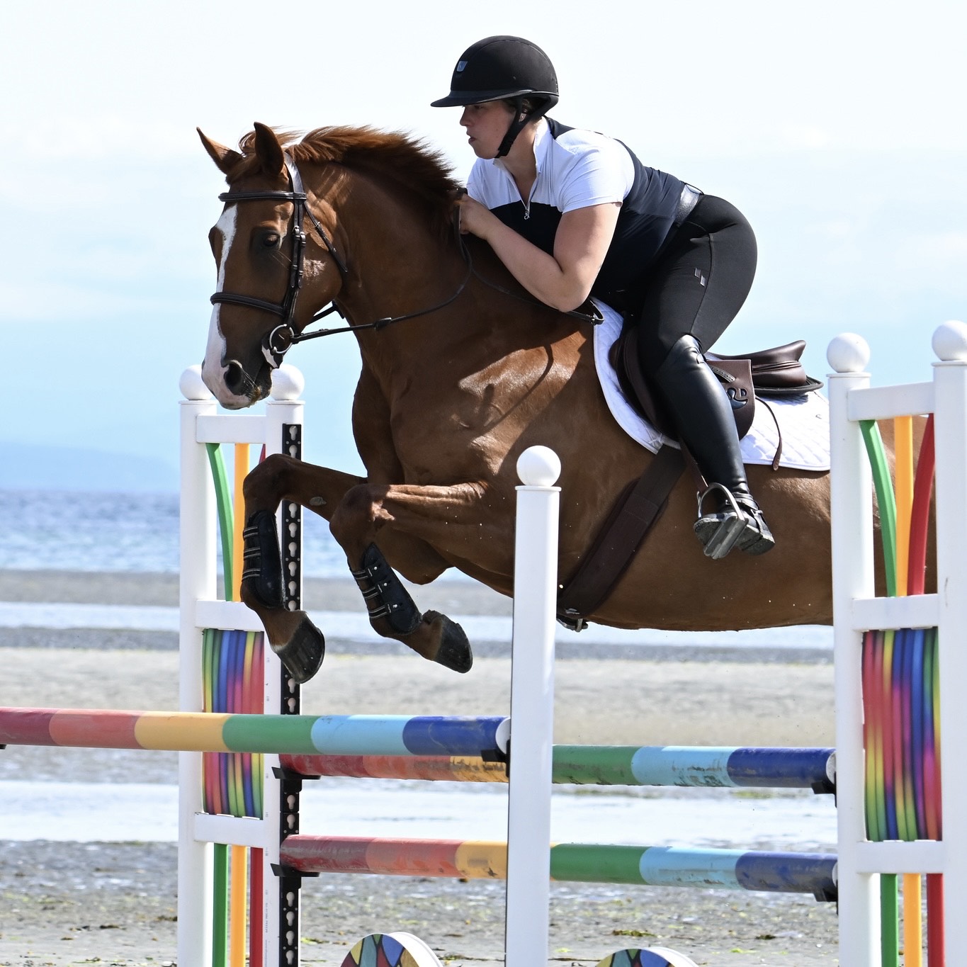 Jump Standards – Copper Pony Poles