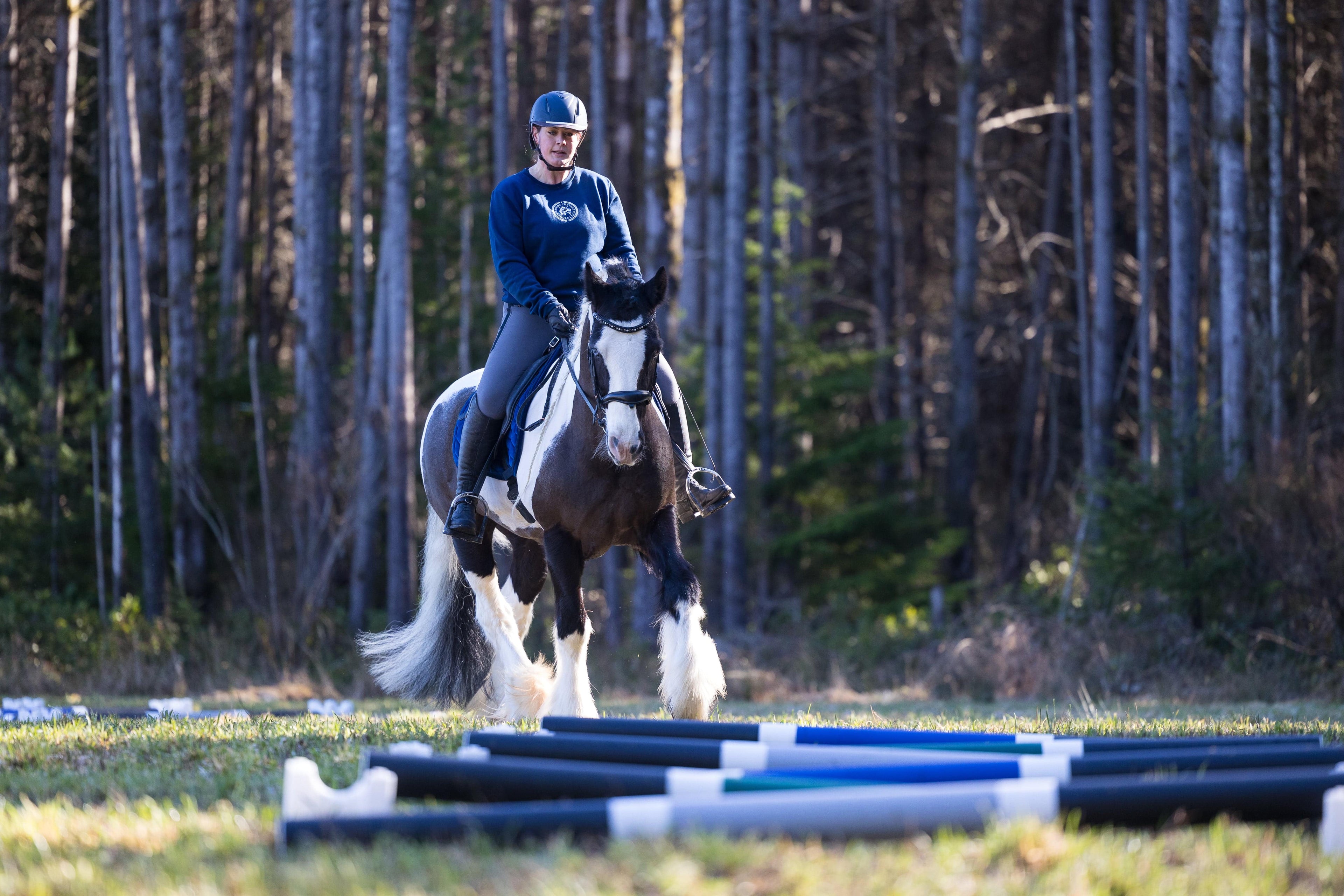 Copper Pony Poles + Equestrian Sporting Equipment