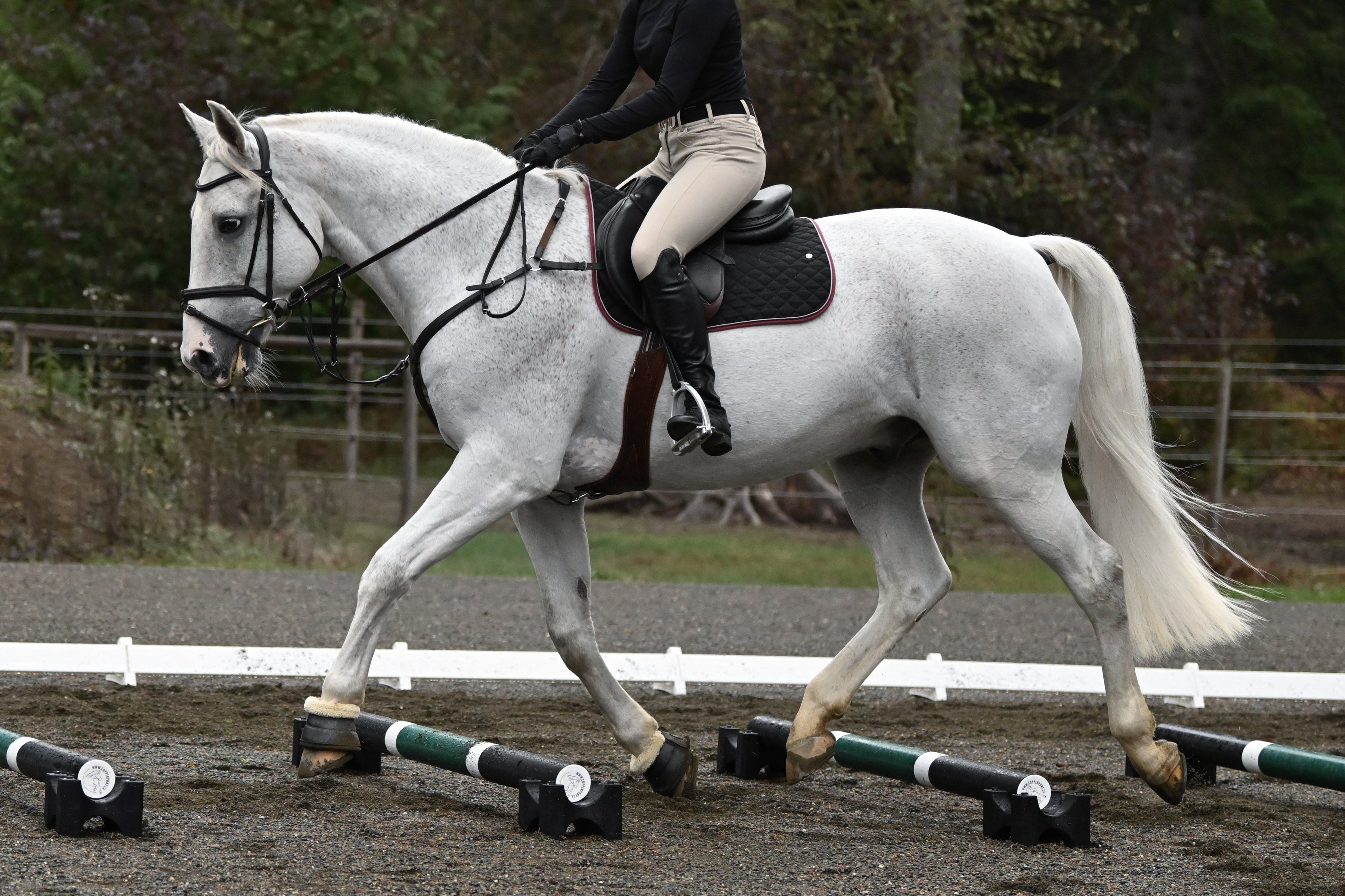 Copper Pony Poles + Equipment
