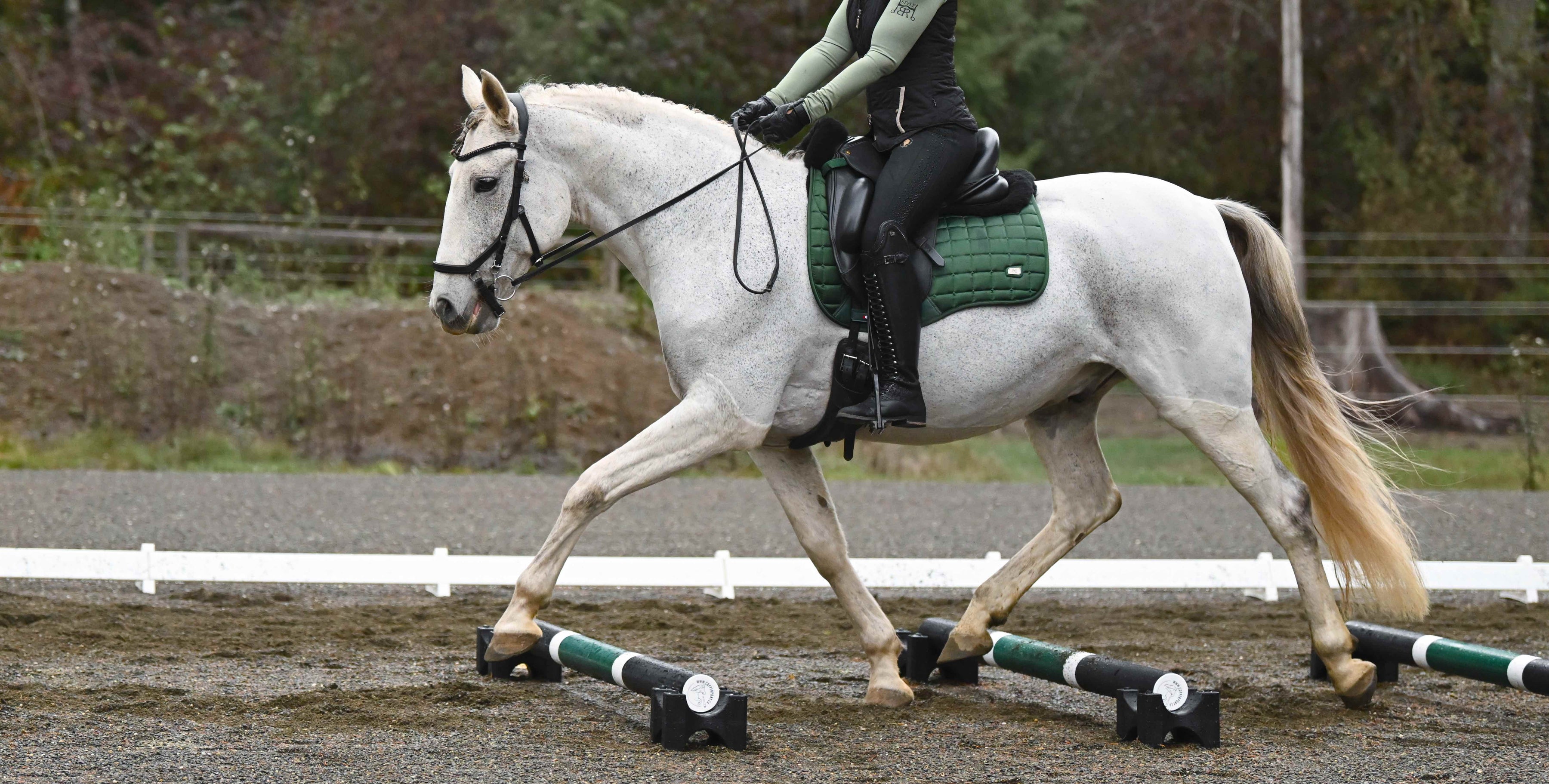 Copper Pony Arena + Stable Equipment – Copper Pony Poles