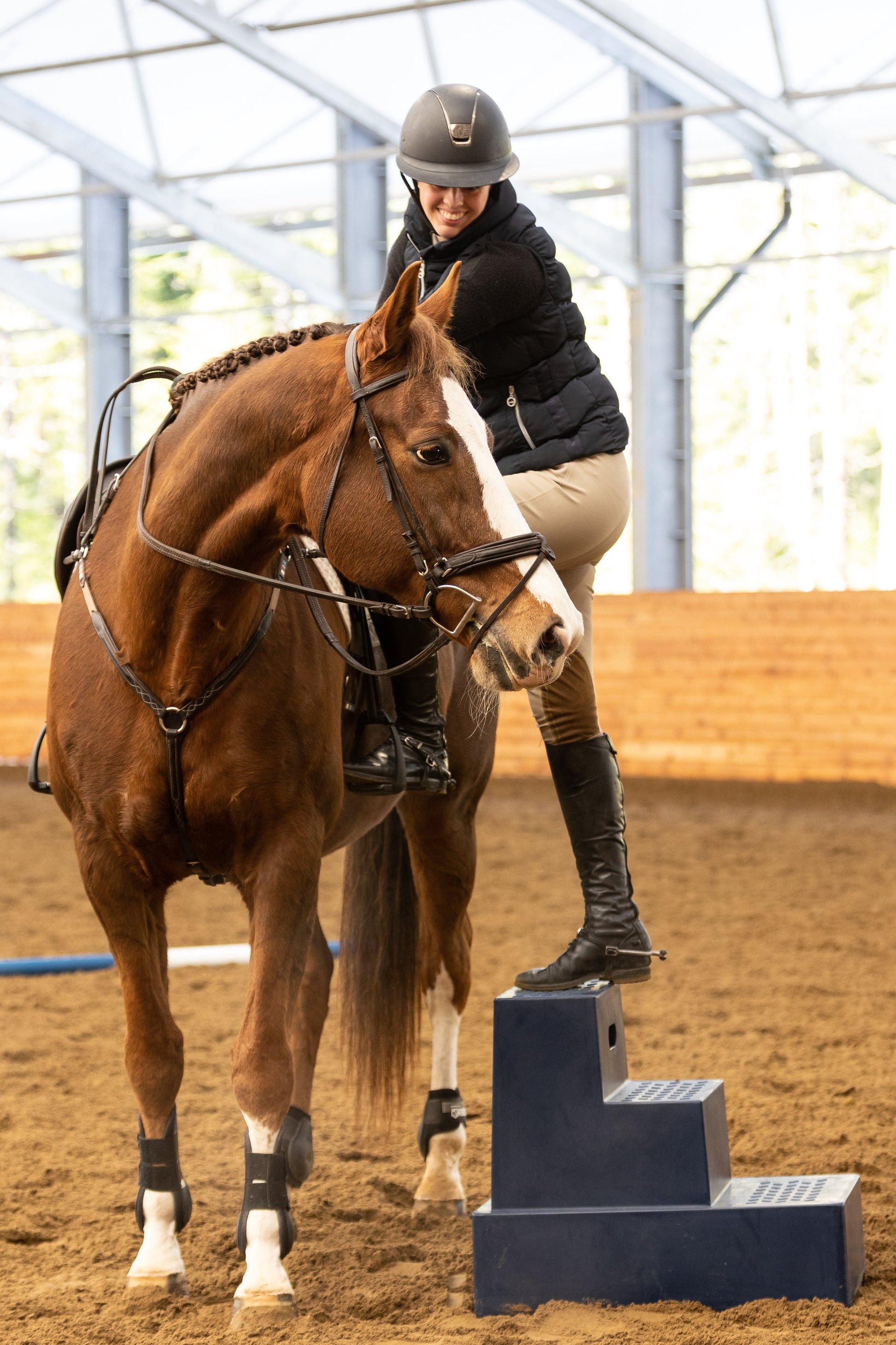 Classic Show Jumps Arena Accessories Mounting Block - 3 Step