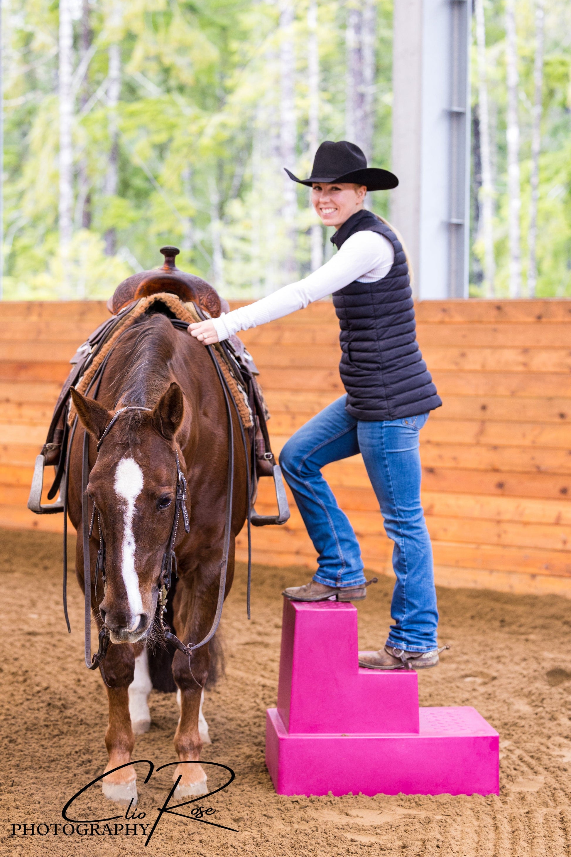 Classic Show Jumps Arena Accessories Mounting Block - 3 Step