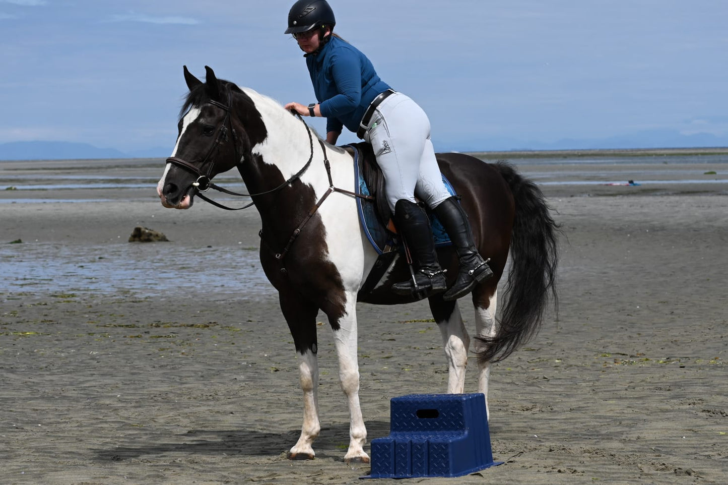 Classic Show Jumps Stable Accessories 2 Step Lite Mounting Block