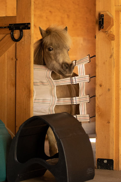 Classic Show Jumps Stable Accessories Saddle Carrier Pro