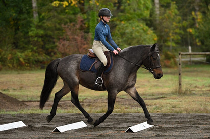 Copper Pony Poles 5' ft Trot Boards