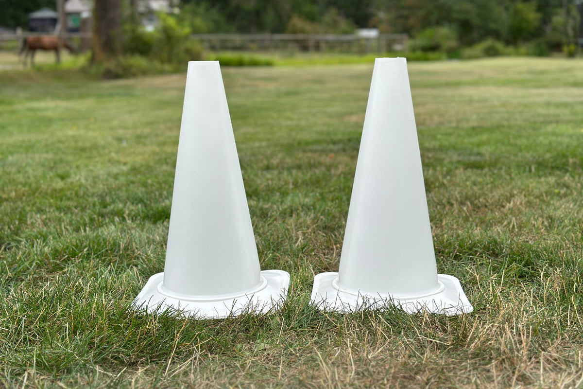 Copper Pony Poles Arena Accessories White Training Cone Pair - 18" (White)