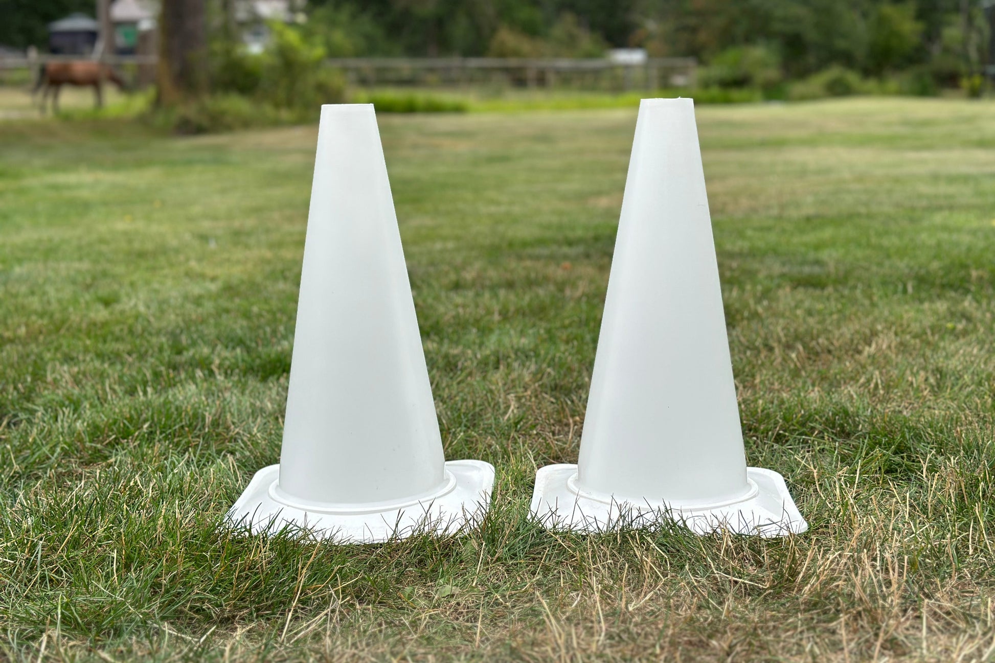 Copper Pony Poles Arena Accessories White Training Cone Pair - 18" (White)