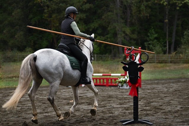 Copper Pony Poles Bundle Competition Bull Obstacle (with stand)