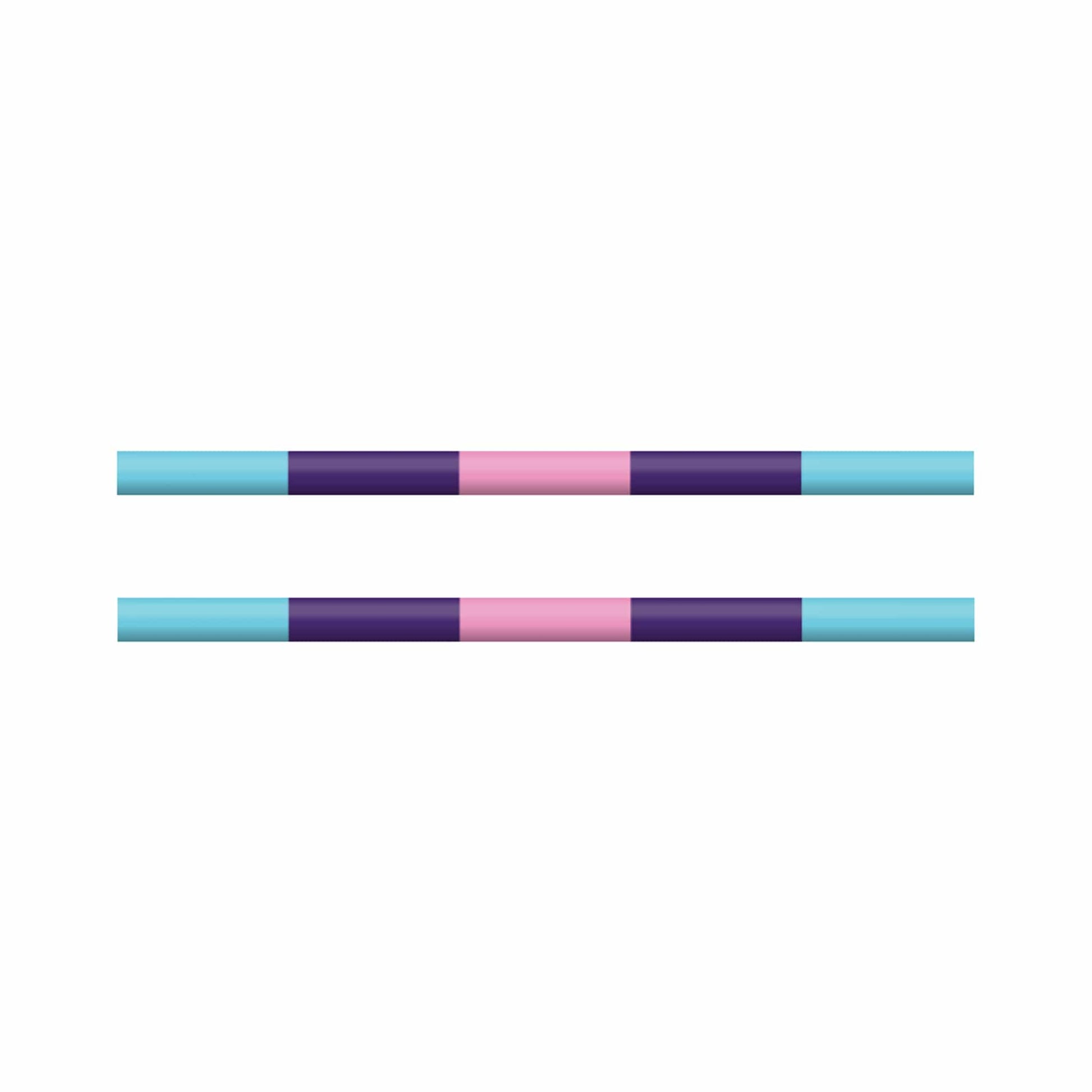 Copper Pony Poles Light Blue / Purple / Pink Poles - 8' ft Wood (Set of 2)