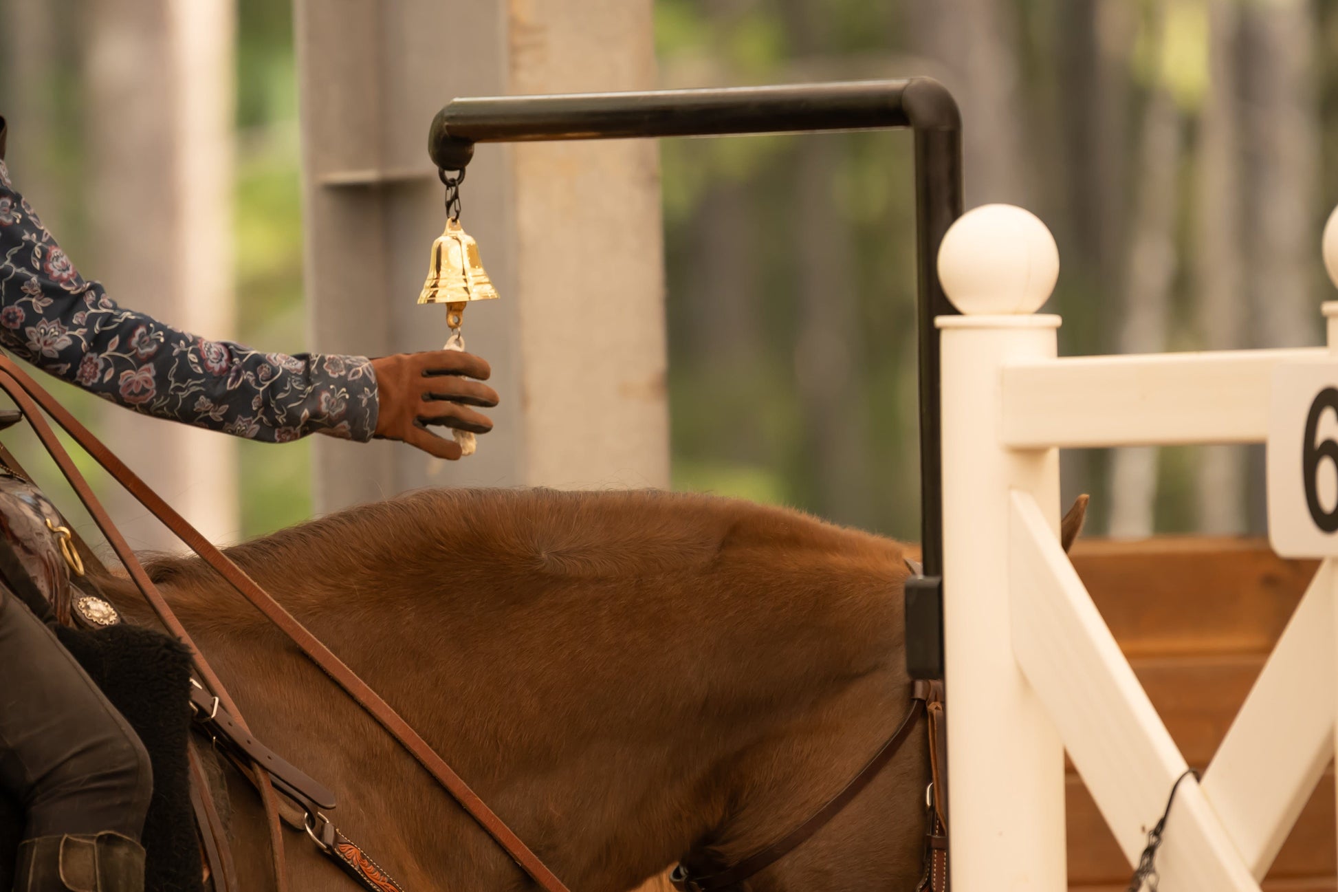Copper Pony Poles Schooling Series: Bell
