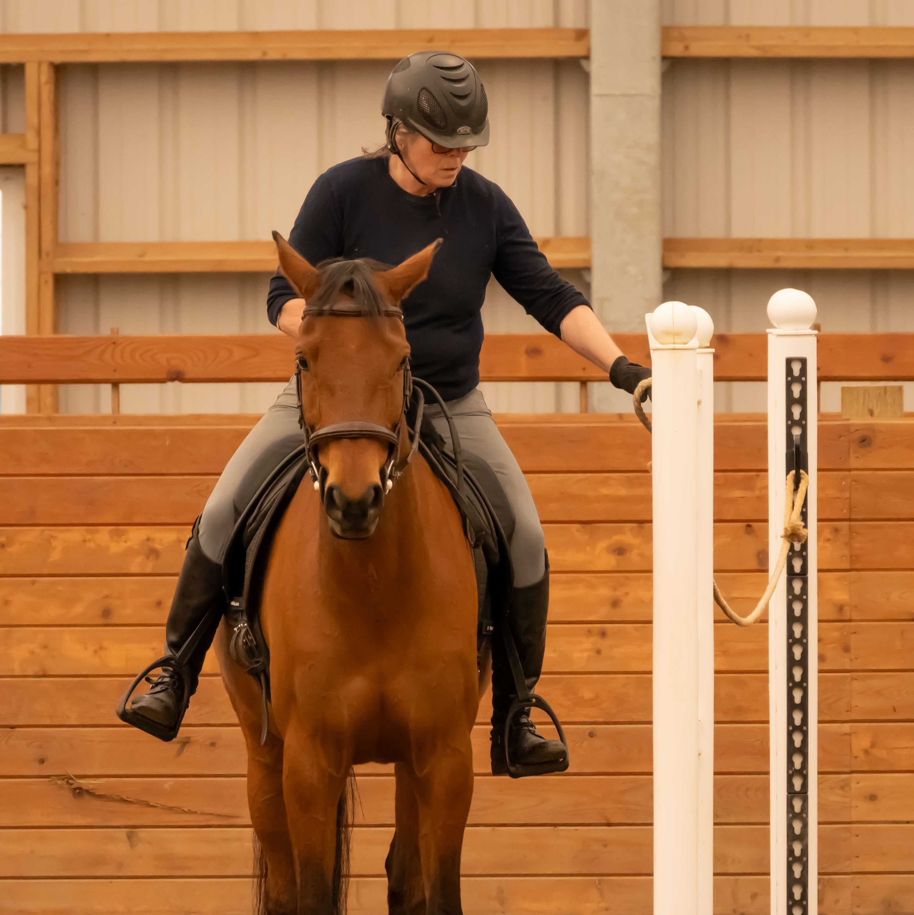Schooling Series: Speed Gate – Copper Pony Poles
