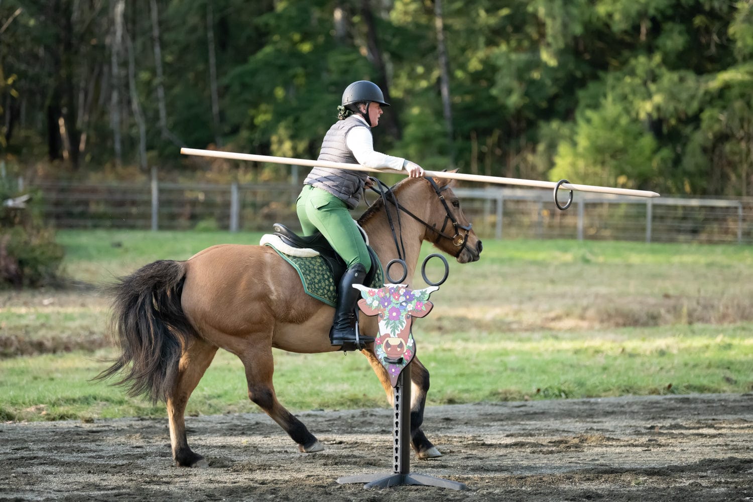 Copper Pony Poles + Equipment