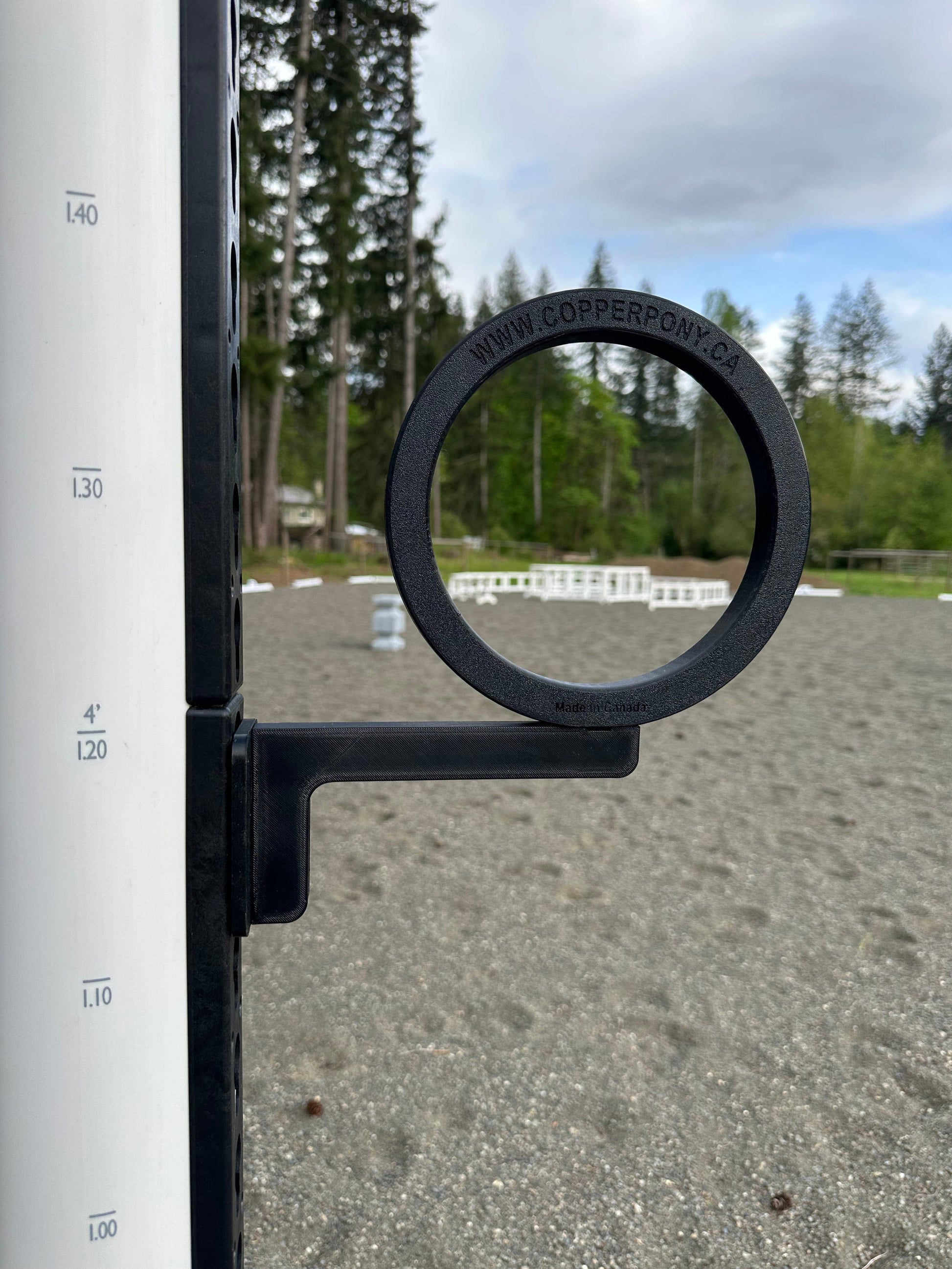 Copper Pony Poles Working Equitation Schooling Series: Spear Ring