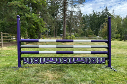Jump 4 Joy Bundle 10' ft Plank Jump