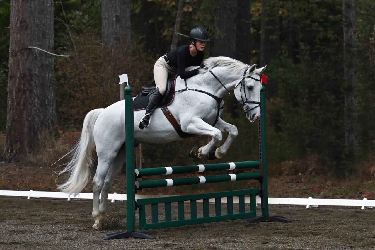 Jump 4 Joy Bundle 8' ft Hanging Ladder Jump