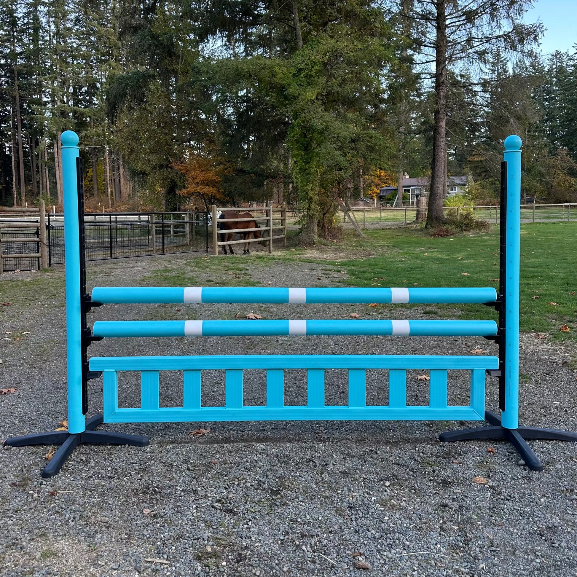 Jump 4 Joy Bundle 8' ft Hanging Ladder Jump