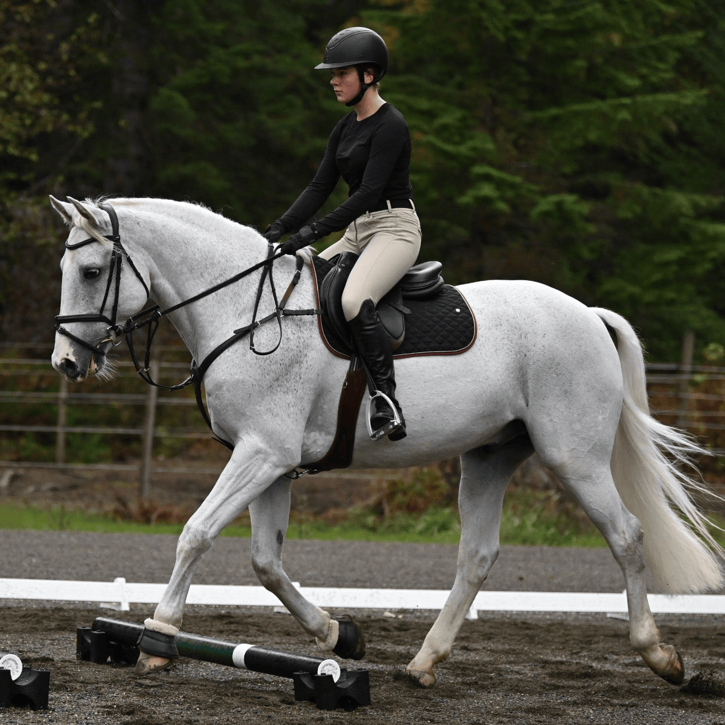 Jump 4 Joy Bundle Poles - 6.5' ft Zero Maintenance / Polymer Wrapped Wood (Set of 4)