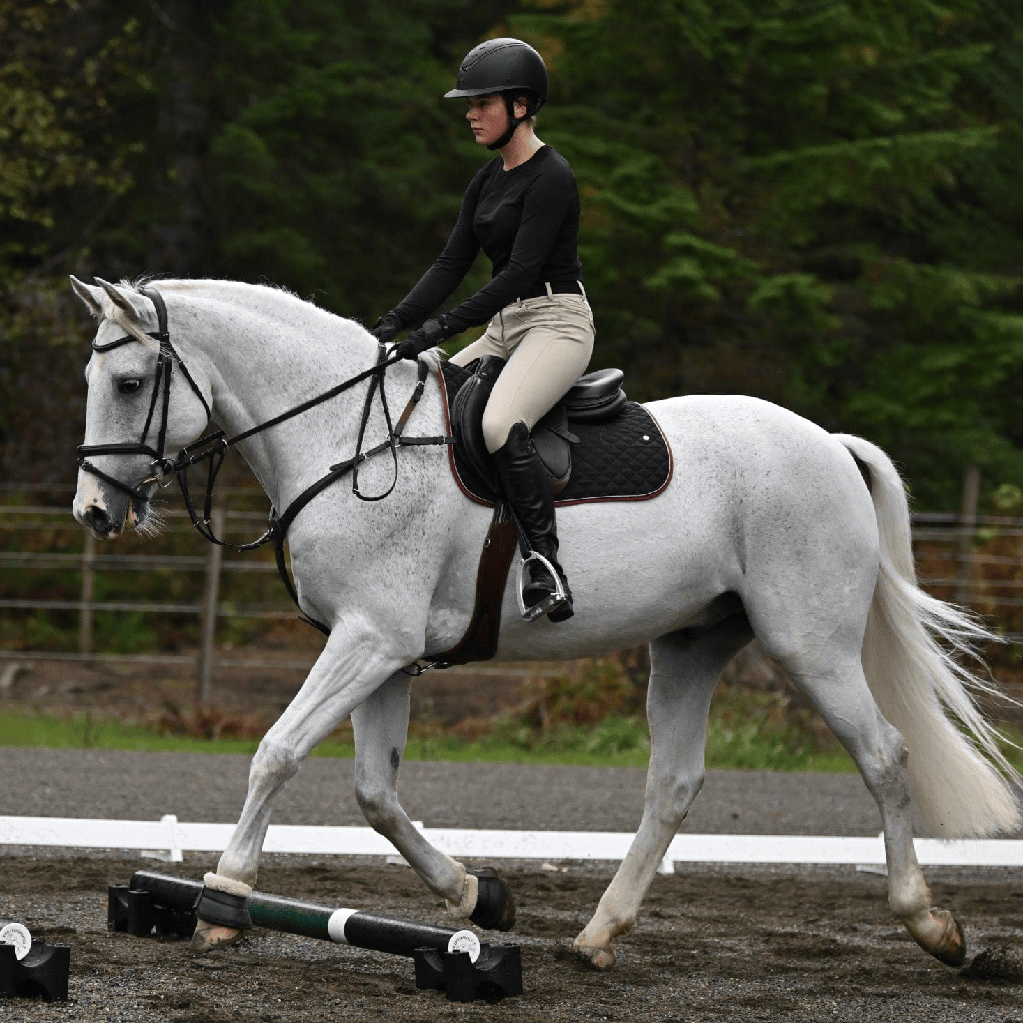 Jump 4 Joy Bundle Poles - 6.5' ft Zero Maintenance / Polymer Wrapped Wood (Set of 4)