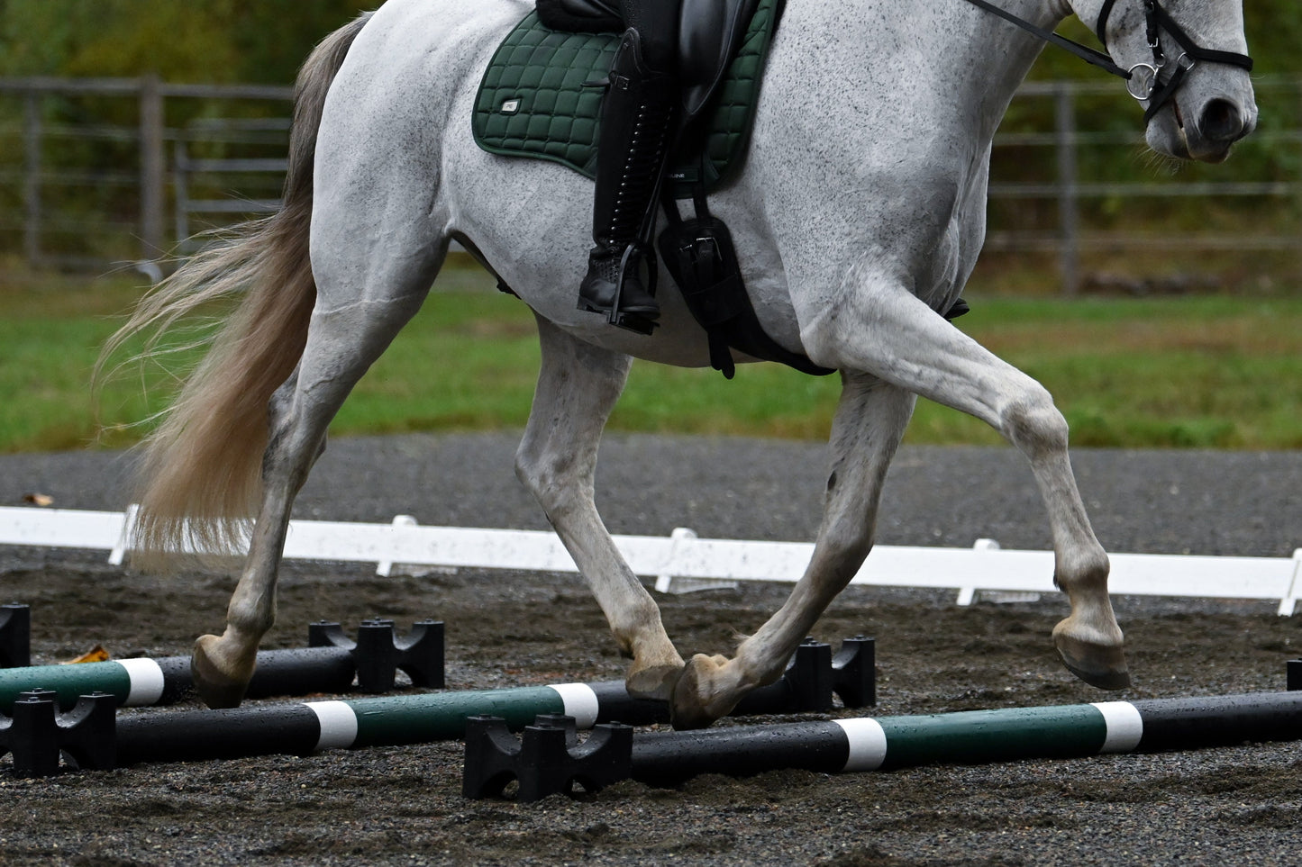 Jump 4 Joy Bundle Poles - 6.5' ft Zero Maintenance / Polymer Wrapped Wood (Set of 6)