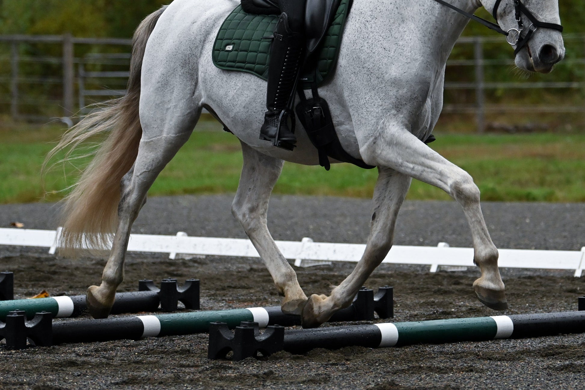 Jump 4 Joy Bundle Poles - 6.5' ft Zero Maintenance / Polymer Wrapped Wood (Set of 6)