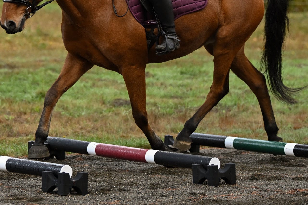 Jump 4 Joy Bundle Ultimate Polework Kit (6.5' Zero Maintenance Poles)