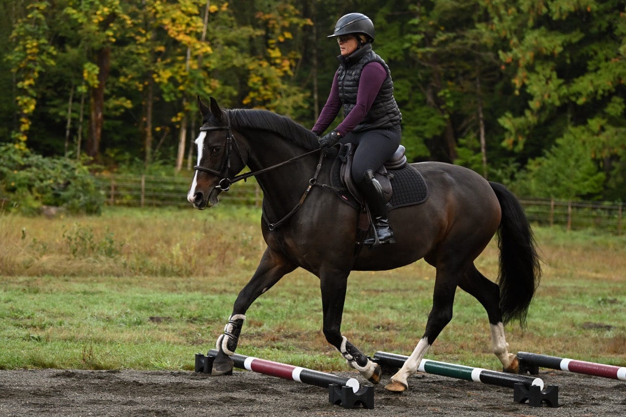 Jump 4 Joy Bundle Ultimate Polework Kit (6.5' Zero Maintenance Poles)