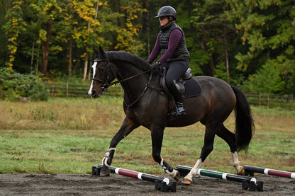 Jump 4 Joy Bundle Ultimate Polework Kit (6.5' Zero Maintenance Poles)