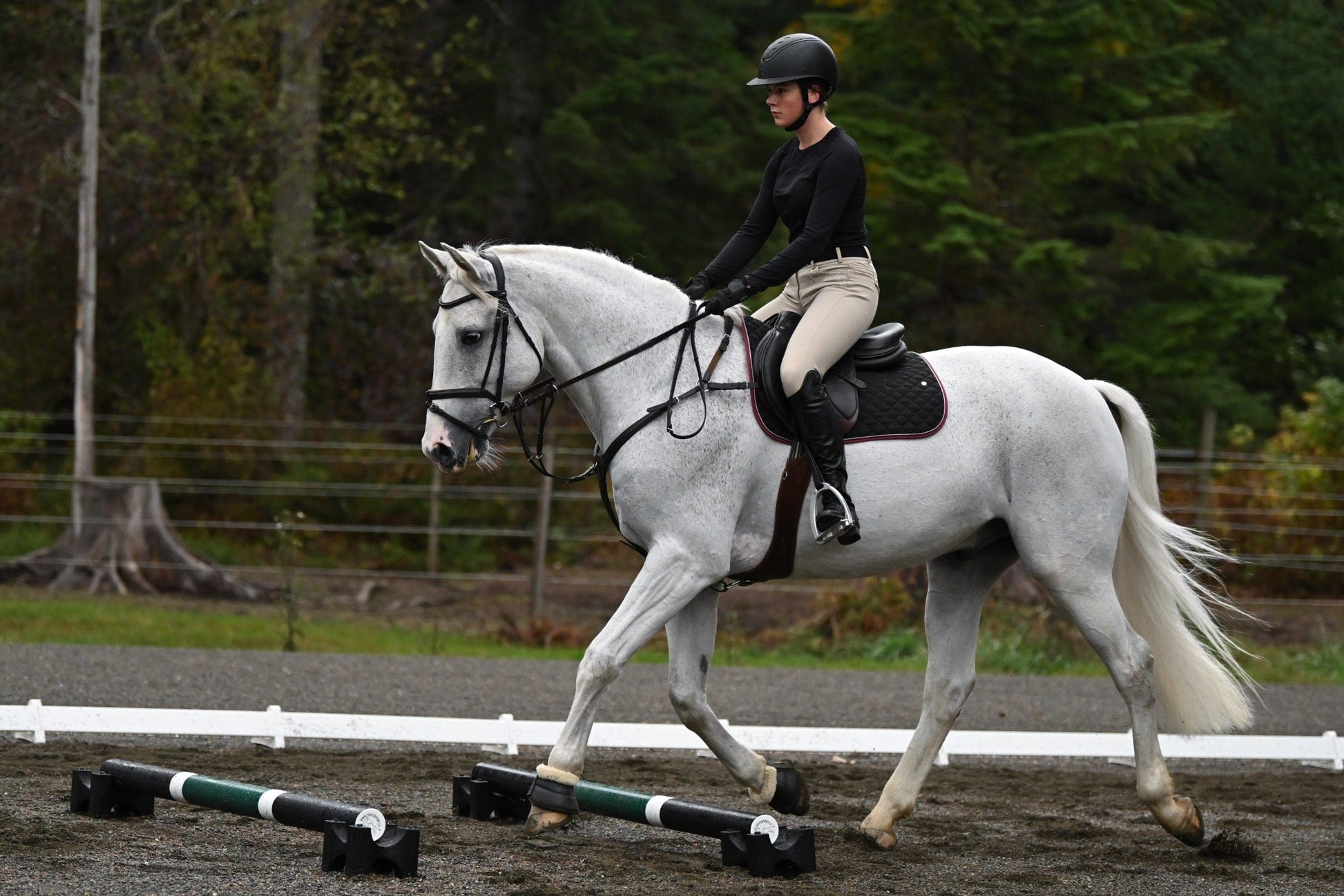 Jump 4 Joy Bundle Ultimate Polework Kit (6.5' Zero Maintenance Poles)