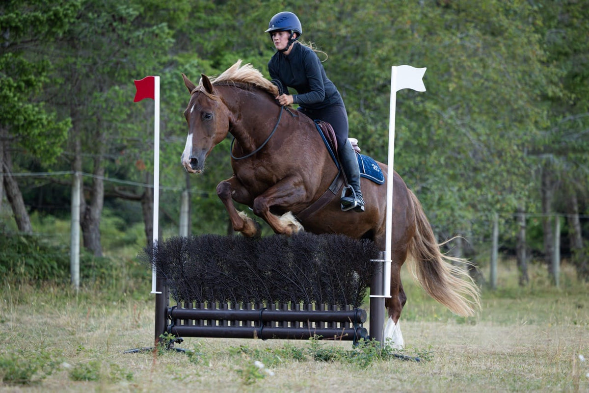 Jump 4 Joy Complete Jumps 1.8m Brush Jump