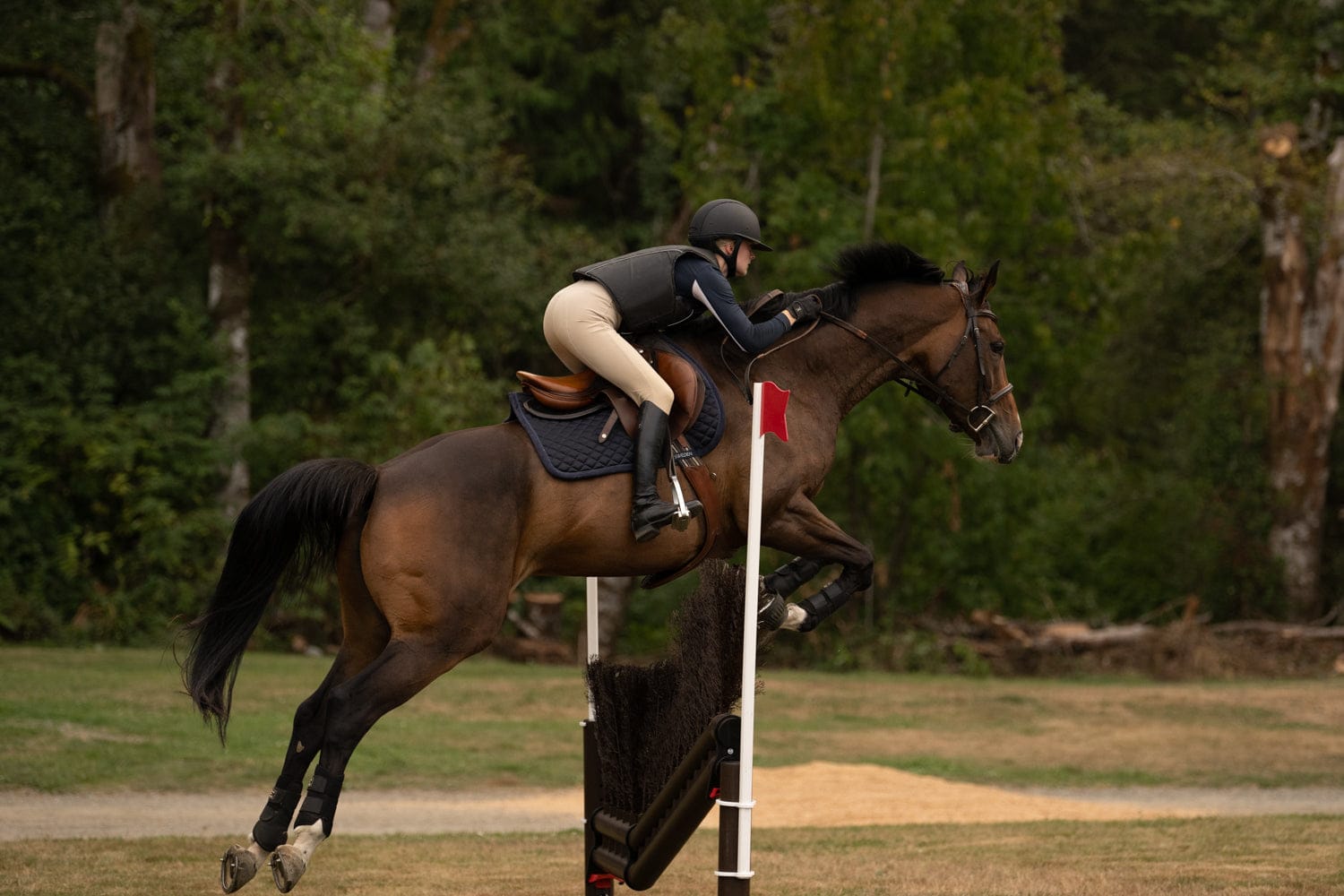 Jump 4 Joy Complete Jumps 1.8m Shoulder Brush Jump