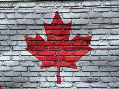 Jump 4 Joy Complete Jumps 10' ft Puissance Wall with Jump Towers