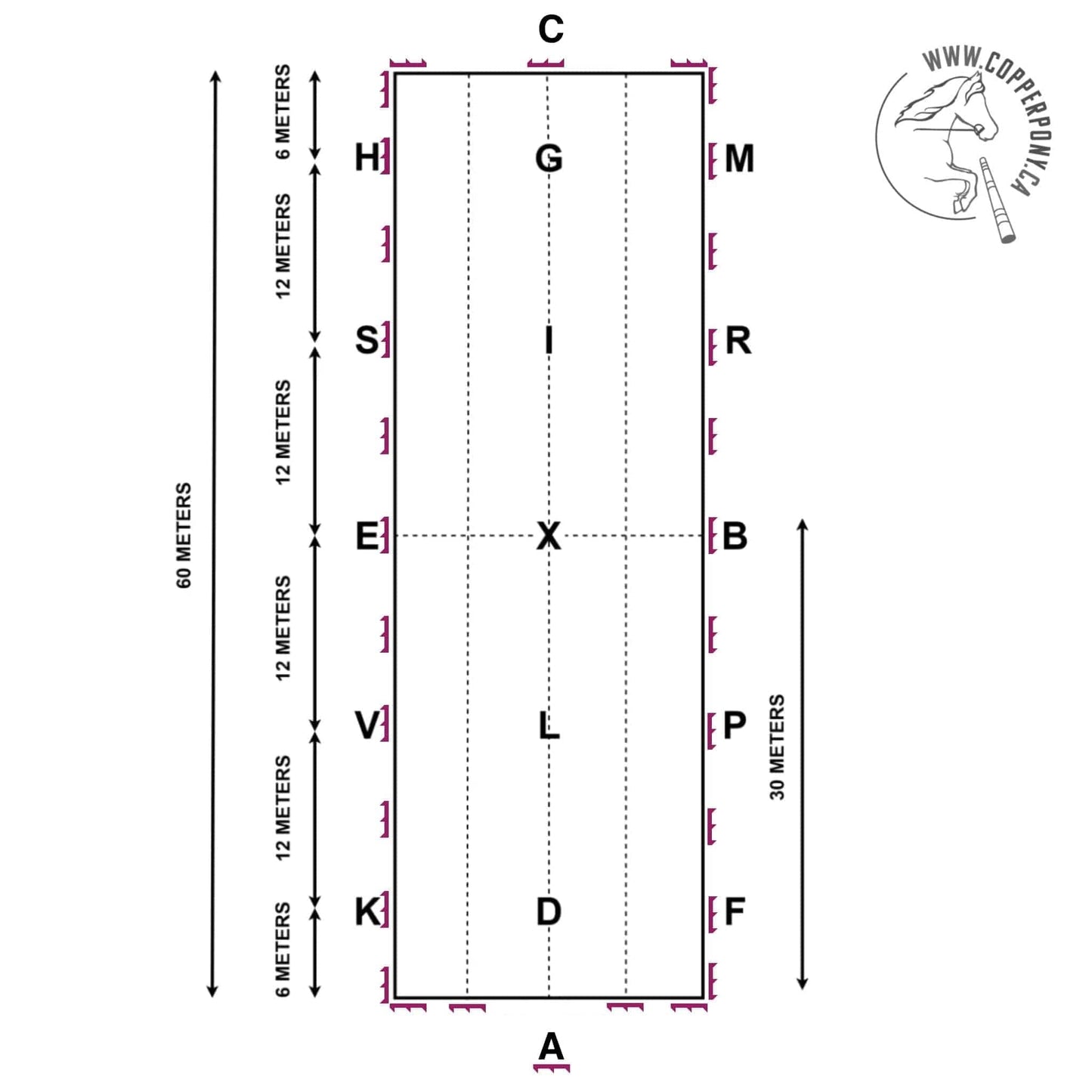 Jump 4 Joy Dressage 20m X 60m Dressage Arena Kits
