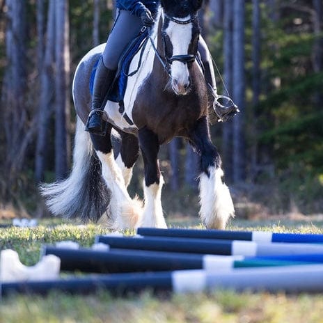 Jump 4 Joy Ground Poles Pole - 6.5' ft Zero Maintenance (Polymer Wrapped Wood)