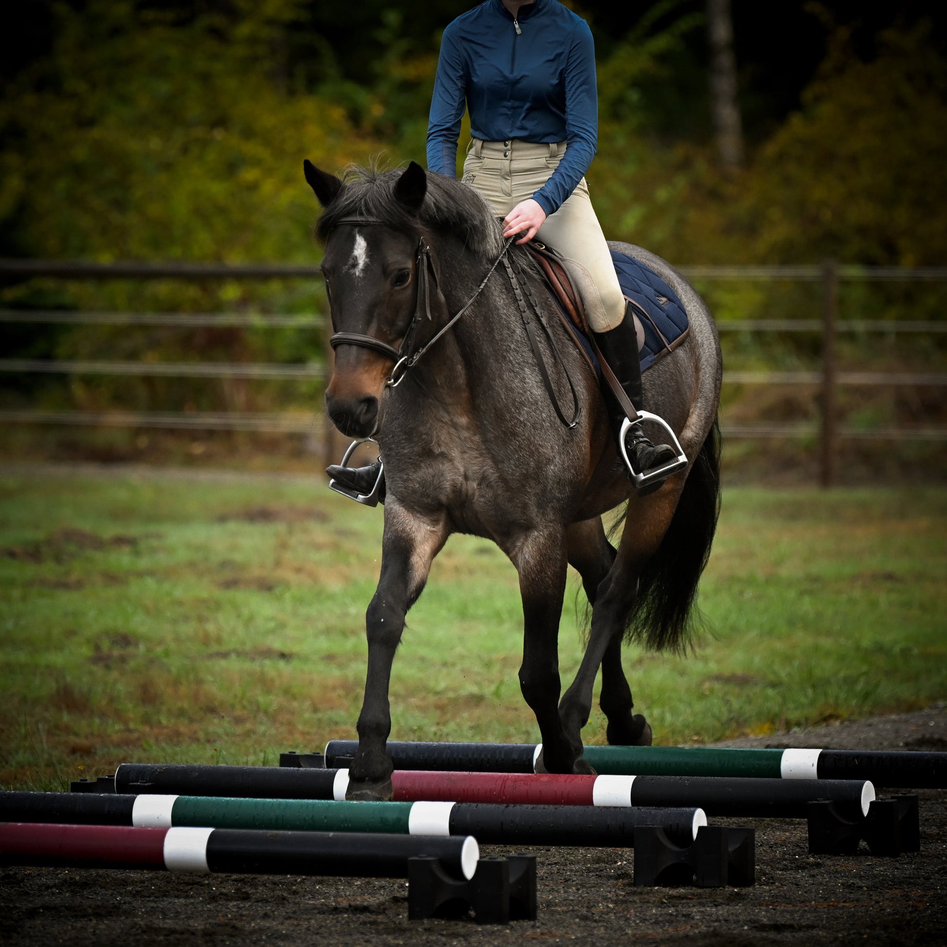 Jump 4 Joy Ground Poles Pole - 6.5' ft Zero Maintenance (Polymer Wrapped Wood)