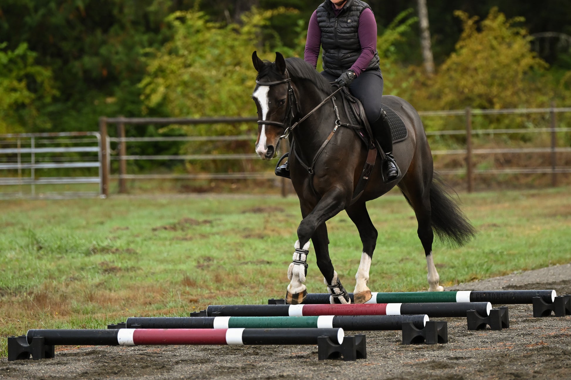 Jump 4 Joy Ground Poles Pole - 6.5' ft Zero Maintenance (Polymer Wrapped Wood)
