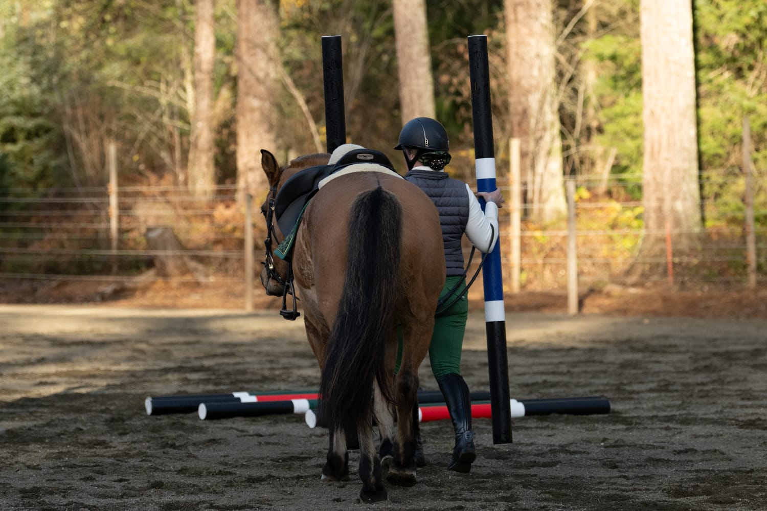 Jump 4 Joy Ground Poles Pole - 6.5' ft Zero Maintenance (Polymer Wrapped Wood)