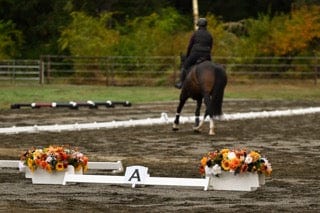 Jump 4 Joy Jump Accessories Flower Box