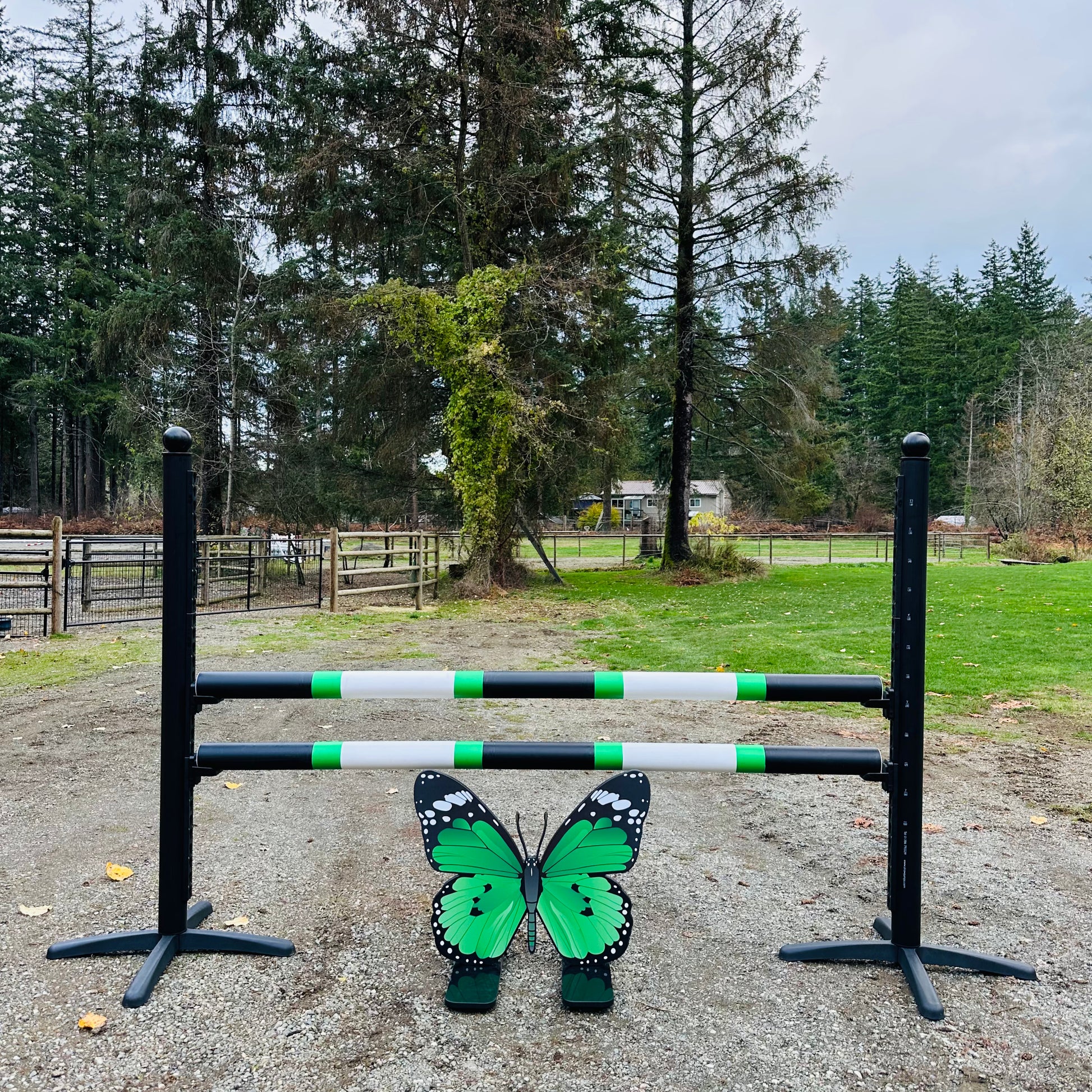 Jump 4 Joy Jump Filler Butterfly Filler - 27.5" Tall