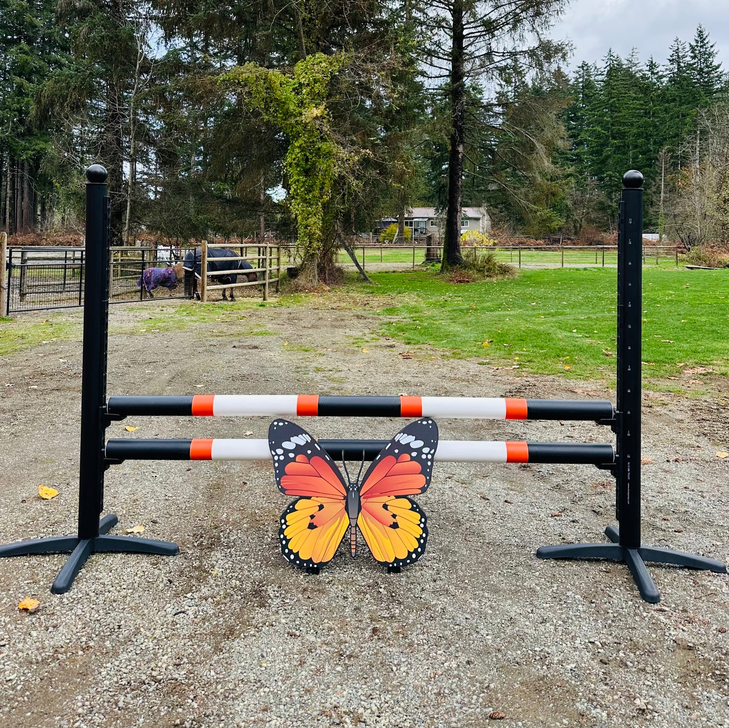 Jump 4 Joy Jump Filler Butterfly Filler - 27.5" Tall