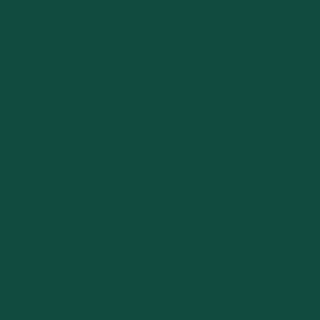 Jump 4 Joy Jump Standards Dark Green Jump standards - 5.75' High Set
